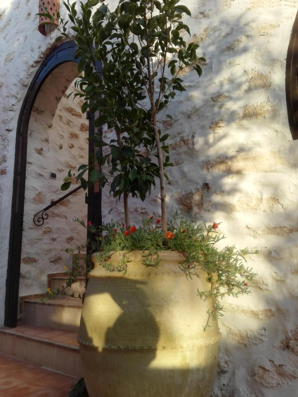 Riad Sanam Essaouira Exterior photo